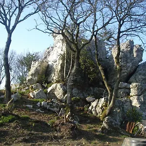 Le Rocher Du Samoyède Gasthof